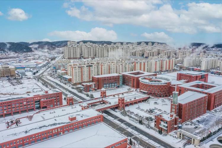捷径科技联合大连科技学院打造产教融合新业态(区块捷径科技学院人才培养融合) 软件开发 捷径科技联合大连科技学院打造产教融合新业态(区块捷径科技学院人才培养融合) 捷径科技联合大连科技学院打造产教融合新业态(区块捷径科技学院人才培养融合) 软件开发