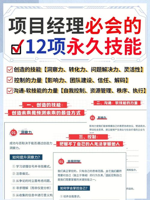 项目经理晋级之路(项目项目经理交付之路晋级) 项目经理晋级之路(项目项目经理交付之路晋级) 软件开发