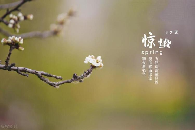 从理论到实践落地-2024惊蛰(研发流程惊蛰软件标准化) 软件开发 从理论到实践落地-2024惊蛰(研发流程惊蛰软件标准化) 从理论到实践落地-2024惊蛰(研发流程惊蛰软件标准化) 软件开发