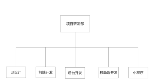 ERP项目团队的组建方式(项目工作团队实施推动) 软件开发 ERP项目团队的组建方式(项目工作团队实施推动) ERP项目团队的组建方式(项目工作团队实施推动) 软件开发