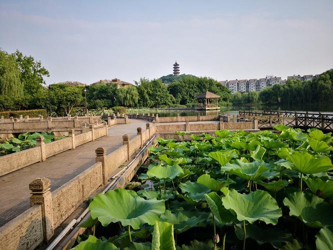 沛县又一个区域要爆发!投资1.2亿元!建设100多万㎡湿地公园(亿元湿地公园区域爆发) 技术资讯 沛县又一个区域要爆发!投资1.2亿元!建设100多万㎡湿地公园(亿元湿地公园区域爆发) 沛县又一个区域要爆发!投资1.2亿元!建设100多万㎡湿地公园(亿元湿地公园区域爆发) 技术资讯