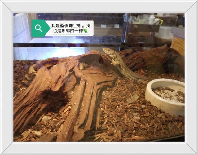想要入坑爬虫？我用亲身经历请你三思(爬虫请你我用单子想要) 想要入坑爬虫？我用亲身经历请你三思(爬虫请你我用单子想要) 脚本文章