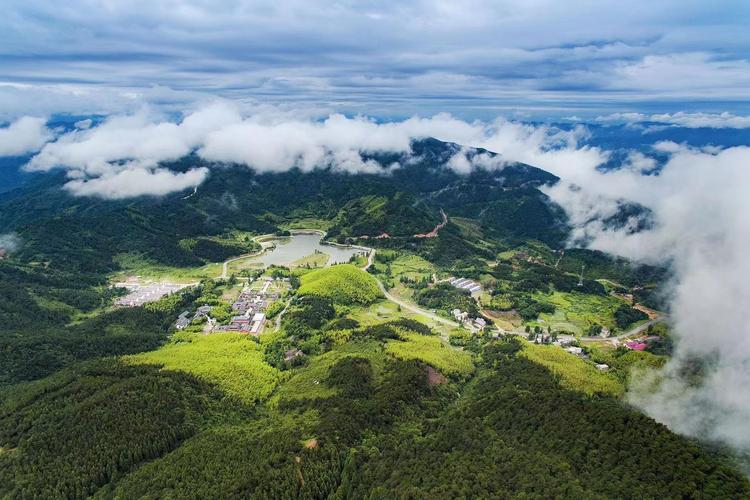 中德合作“中国森林可持续经营规划”项目完成阶段性成果交付(森林经营项目规划交付) 脚本文章 中德合作“中国森林可持续经营规划”项目完成阶段性成果交付(森林经营项目规划交付) 中德合作“中国森林可持续经营规划”项目完成阶段性成果交付(森林经营项目规划交付) 脚本文章