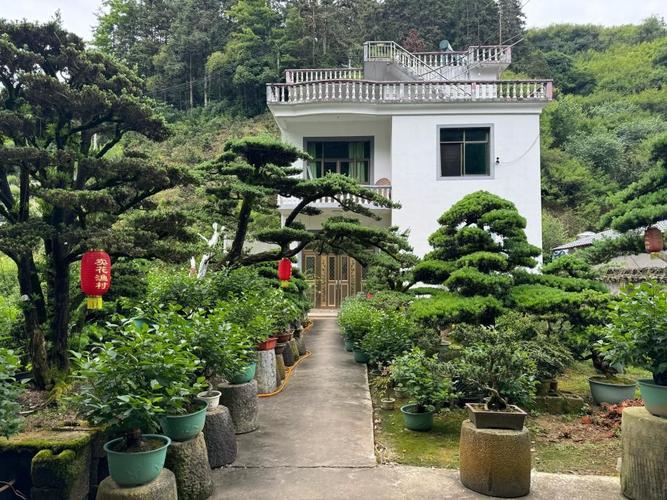 指尖有绝技|古景新生:徽州古村“盘”活盆景变前景(盆景渔村技艺指尖绝技) 技术资讯 指尖有绝技|古景新生:徽州古村“盘”活盆景变前景(盆景渔村技艺指尖绝技) 指尖有绝技|古景新生:徽州古村“盘”活盆景变前景(盆景渔村技艺指尖绝技) 技术资讯