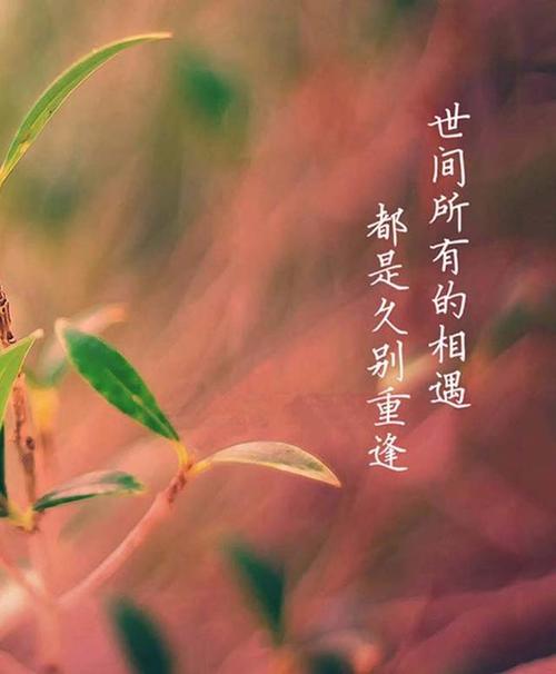 红尘中有你同行这句话什么意思「友情链接可以随便找链接加吗」 红尘中有你同行这句话什么意思「友情链接可以随便找链接加吗」 软件开发