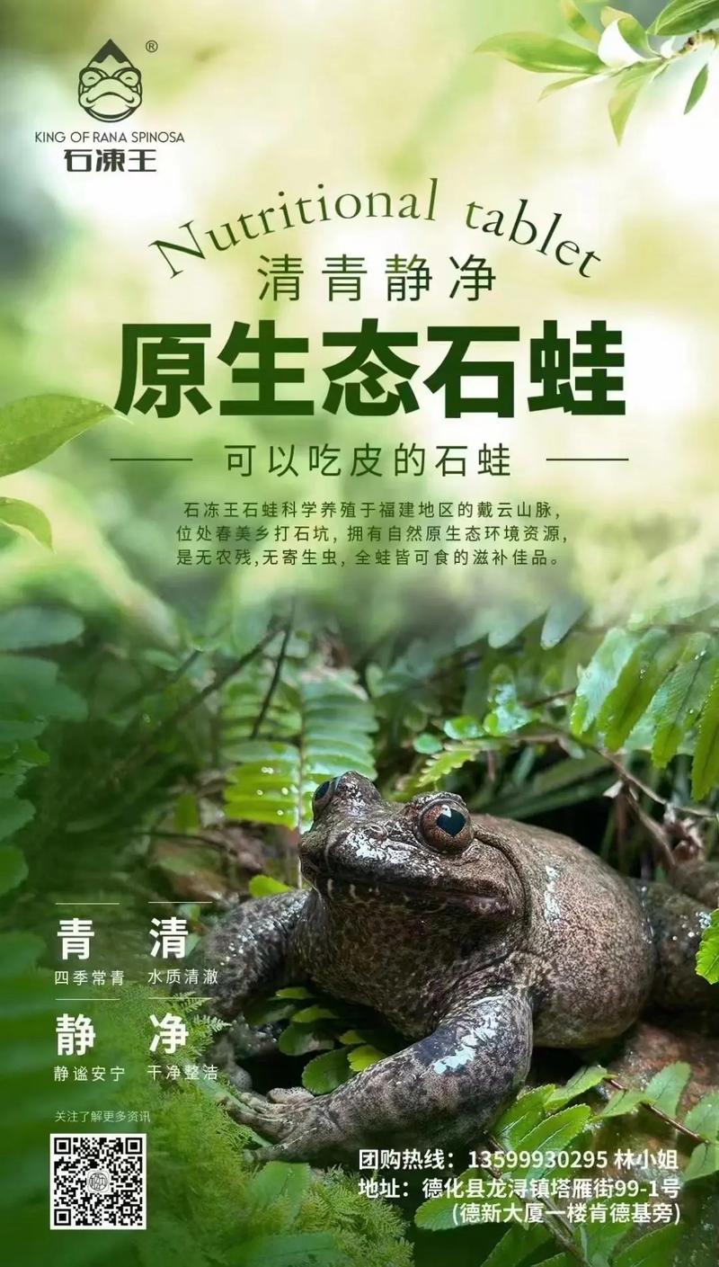 石蛙养殖技术及配方,石蛙养殖成功典型案例。 脚本文章 石蛙养殖技术及配方,石蛙养殖成功典型案例。 石蛙养殖技术及配方,石蛙养殖成功典型案例。 脚本文章